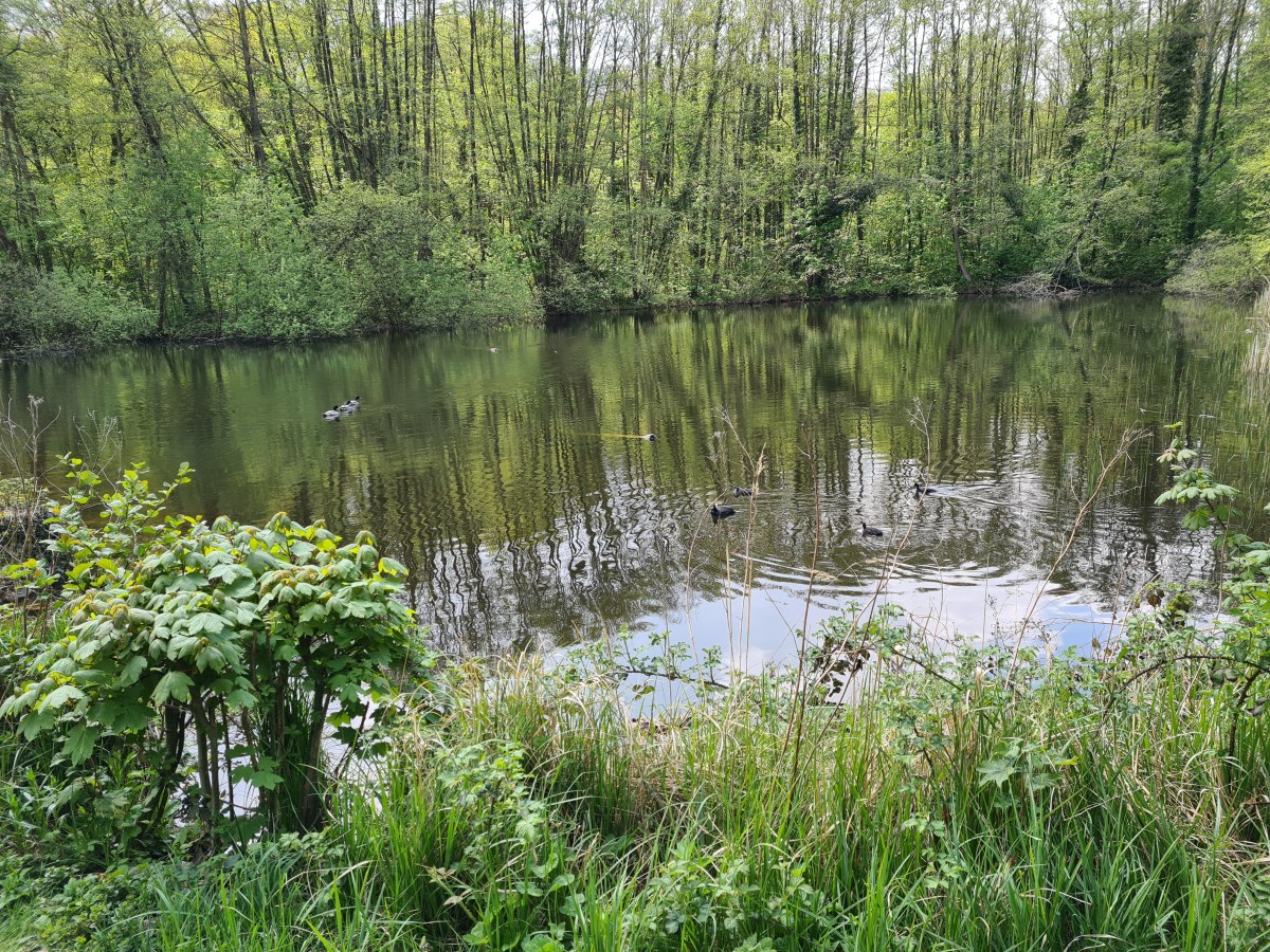Parc de la poudrerie Villemomble via l aqueduc de la Dhuys 21 km : Seine-Saint-Denis style
