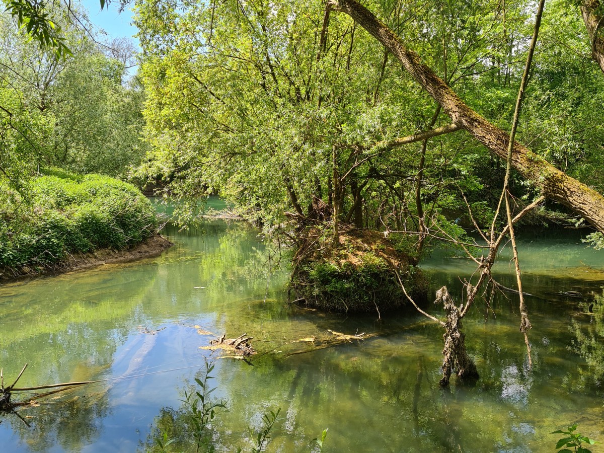 Une balade semi-urbaine : Lagny – Chelles – Rosny      12 à 24,5&nbsp;km