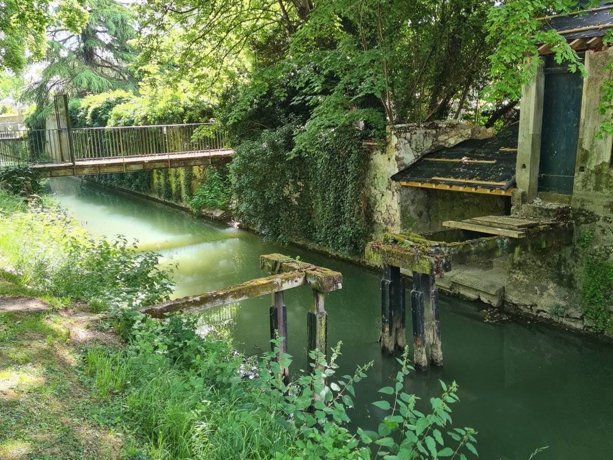 Crecy la Chapelle – Tournan : De rivières en forets 28.4&nbsp;km