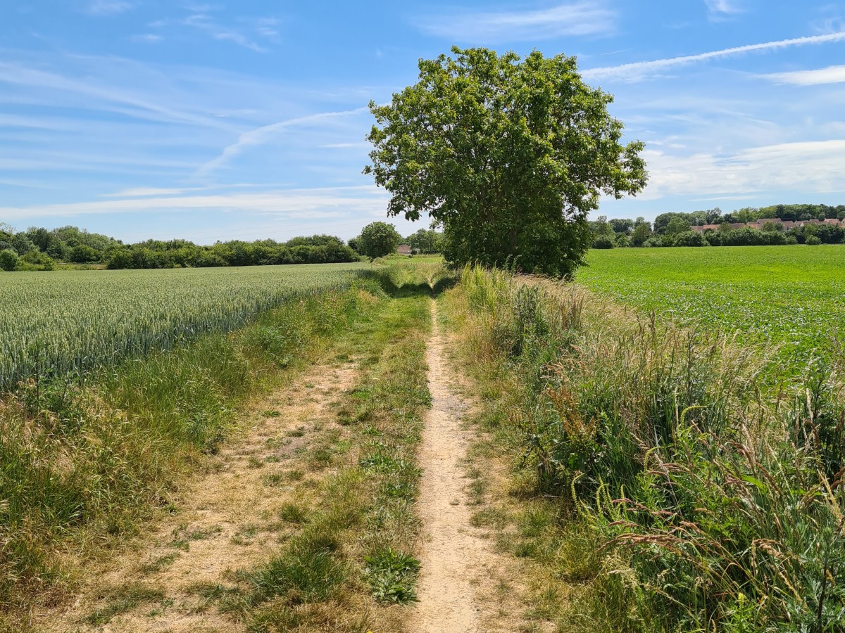 Damartin Meaux Esbly (22 – 33 km) : sur les traces des&nbsp;Poilus.