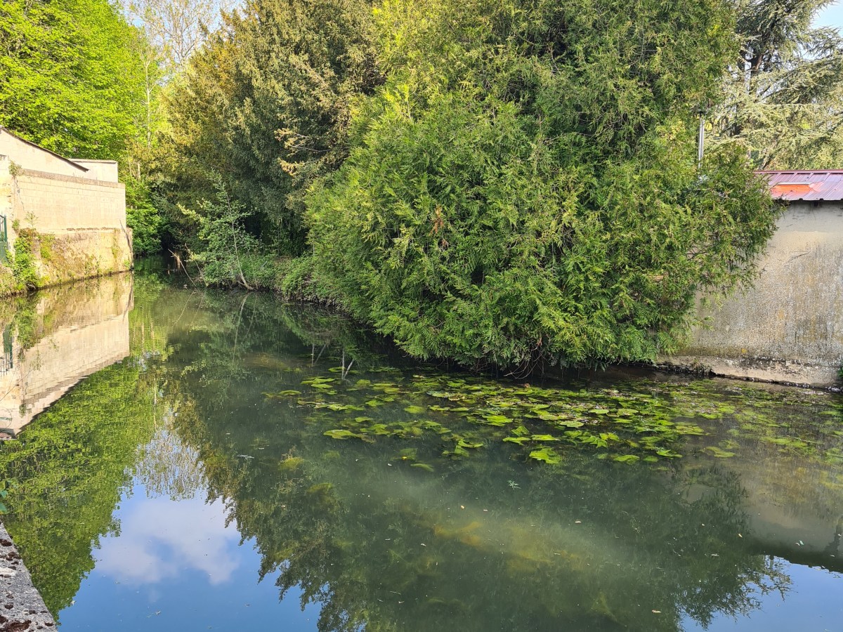 Tournan à Noisy-le Grand : 28 km à travers la Forêt de&nbsp;Ferrière