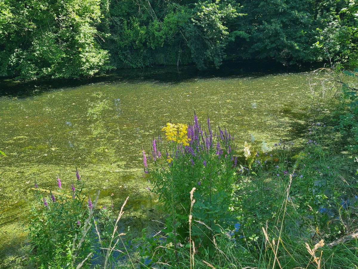 Boucle autour d&rsquo;Esbly : Marne Morin et canaux : 18 – 27&nbsp;km