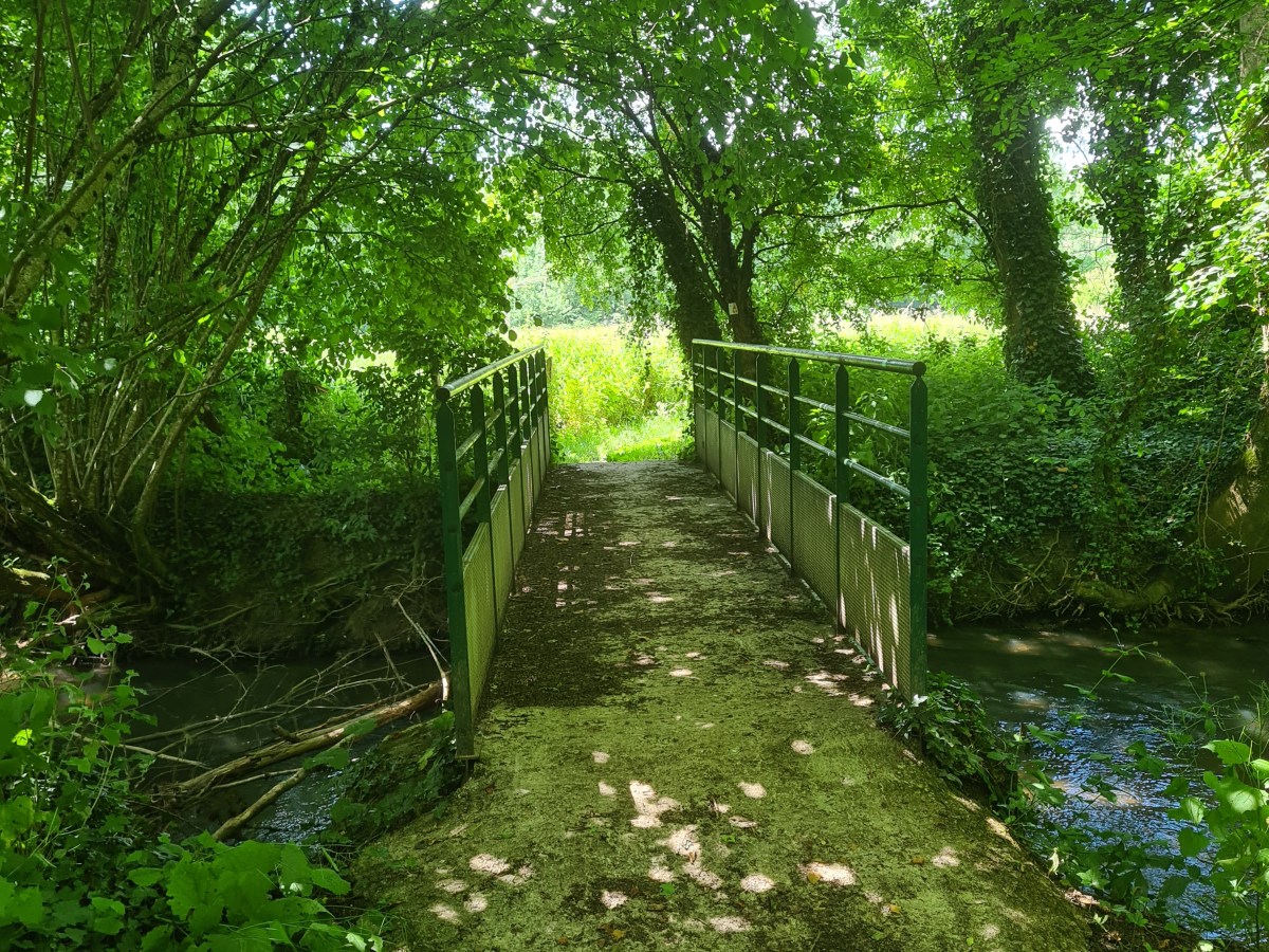 Coulommier – Mortcerf 32 km : C&rsquo;est beau mais c&rsquo;est&nbsp;long