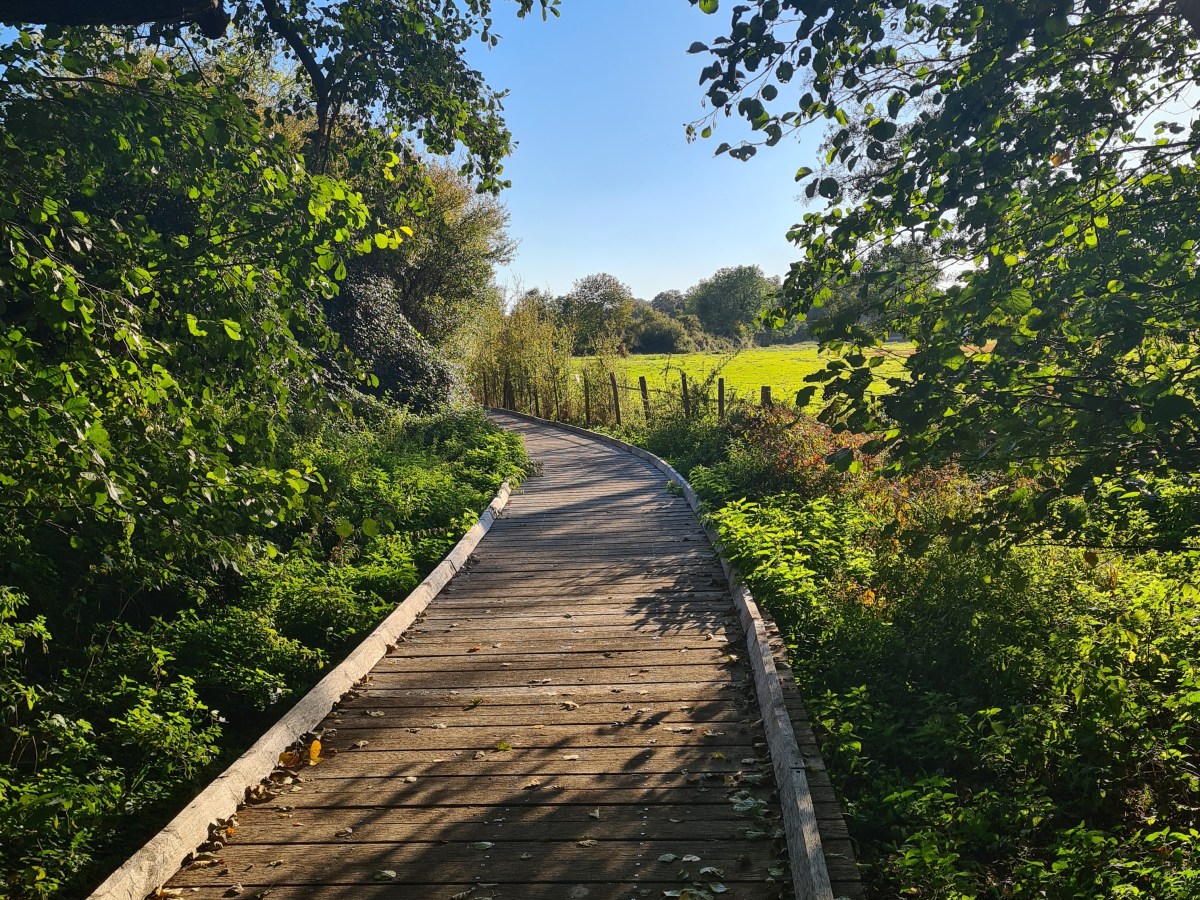 Ris Orangis / Boussy saint Antoine: 17-20-25km: Fleuve rivière et&nbsp;forêt
