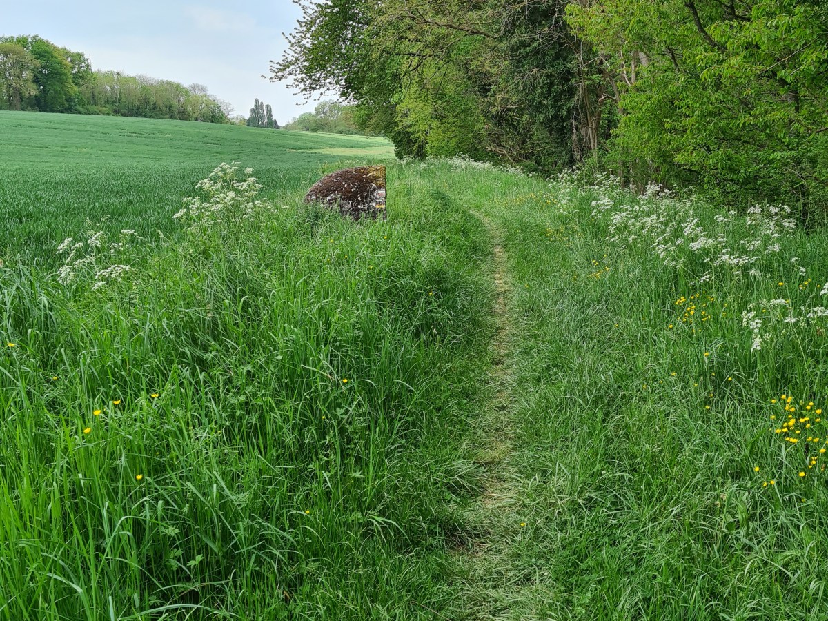 Trilport – Meaux 15-25 km : Aqueduc, reines et carrières&nbsp;vertes