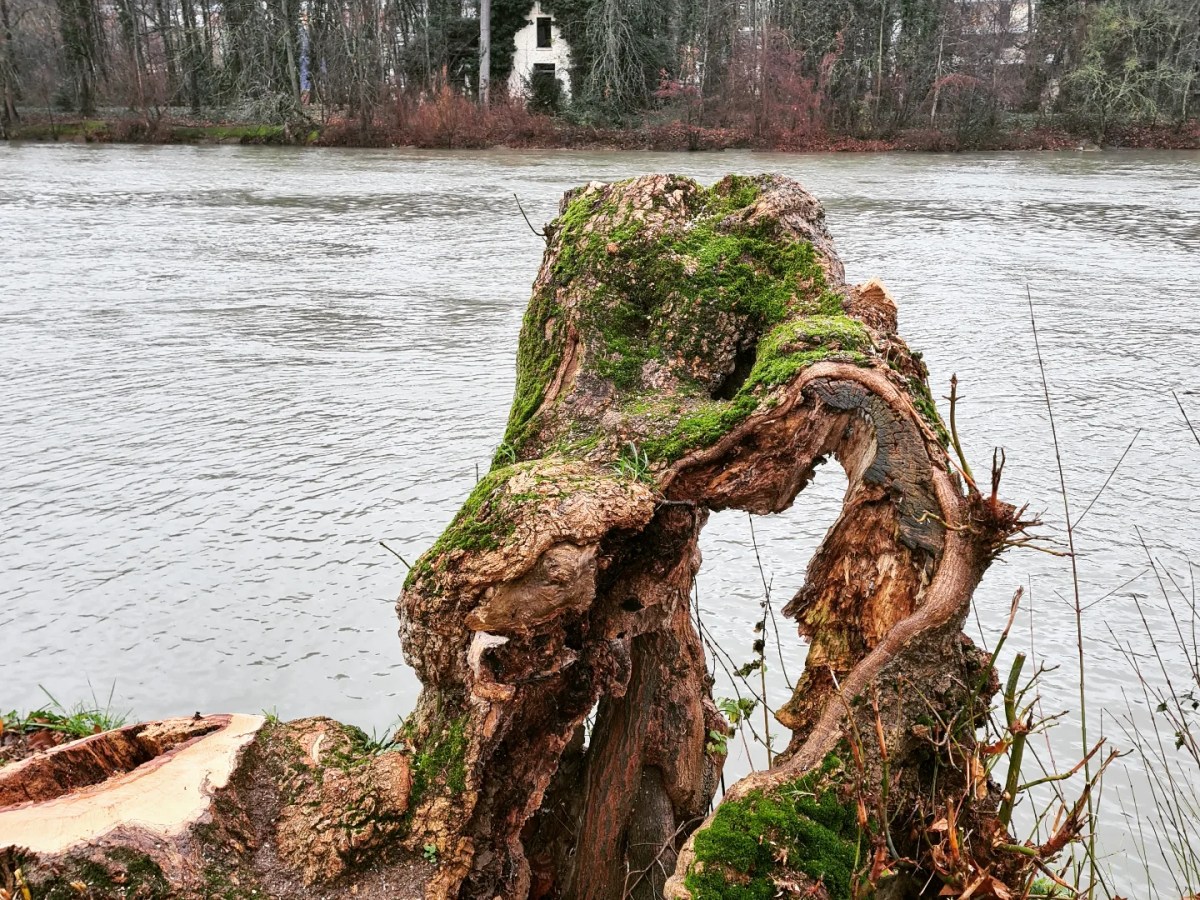 Neuilly sur Marne – Charenton 27 km ou moins : glisser vers la&nbsp;confluence.