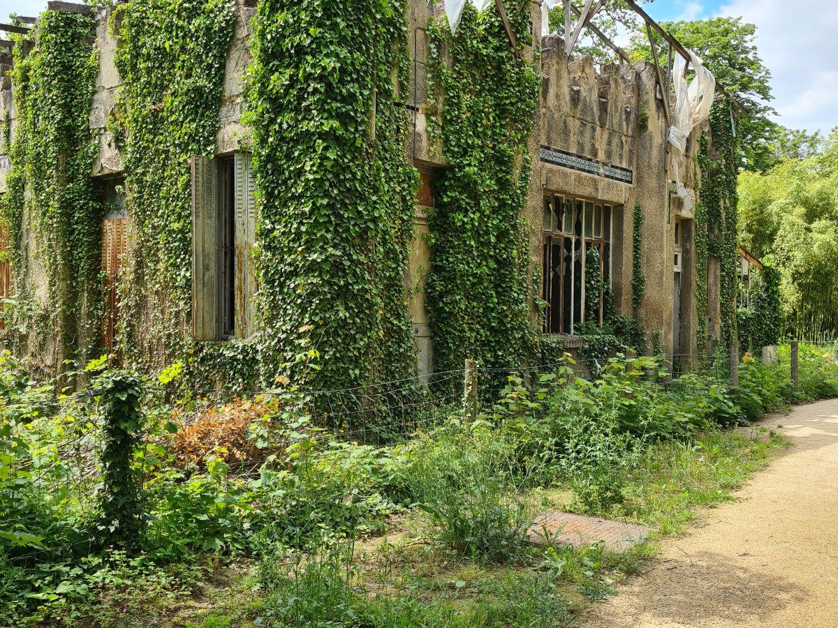 Boucle du bois de Vincennes 19 km : un classique à&nbsp;(re)découvrir