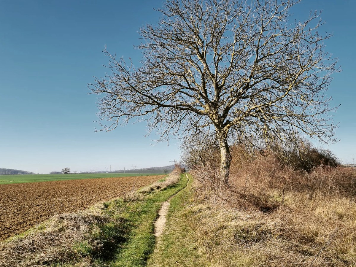 Isles – Meaux 27 km : Canaux et champs&nbsp;mémoriels