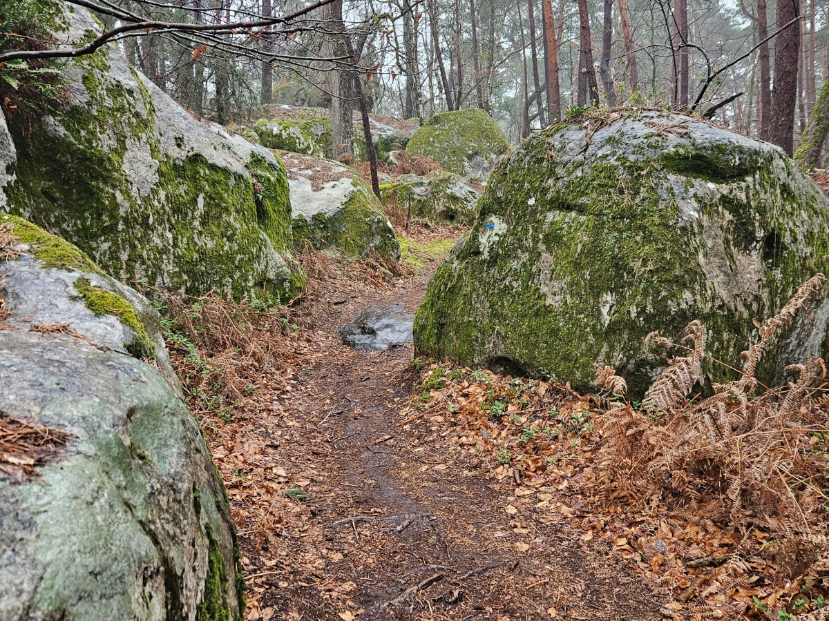 Melun – Fontainebleau 15-28 km: Petits jardins et gros&nbsp;cailloux