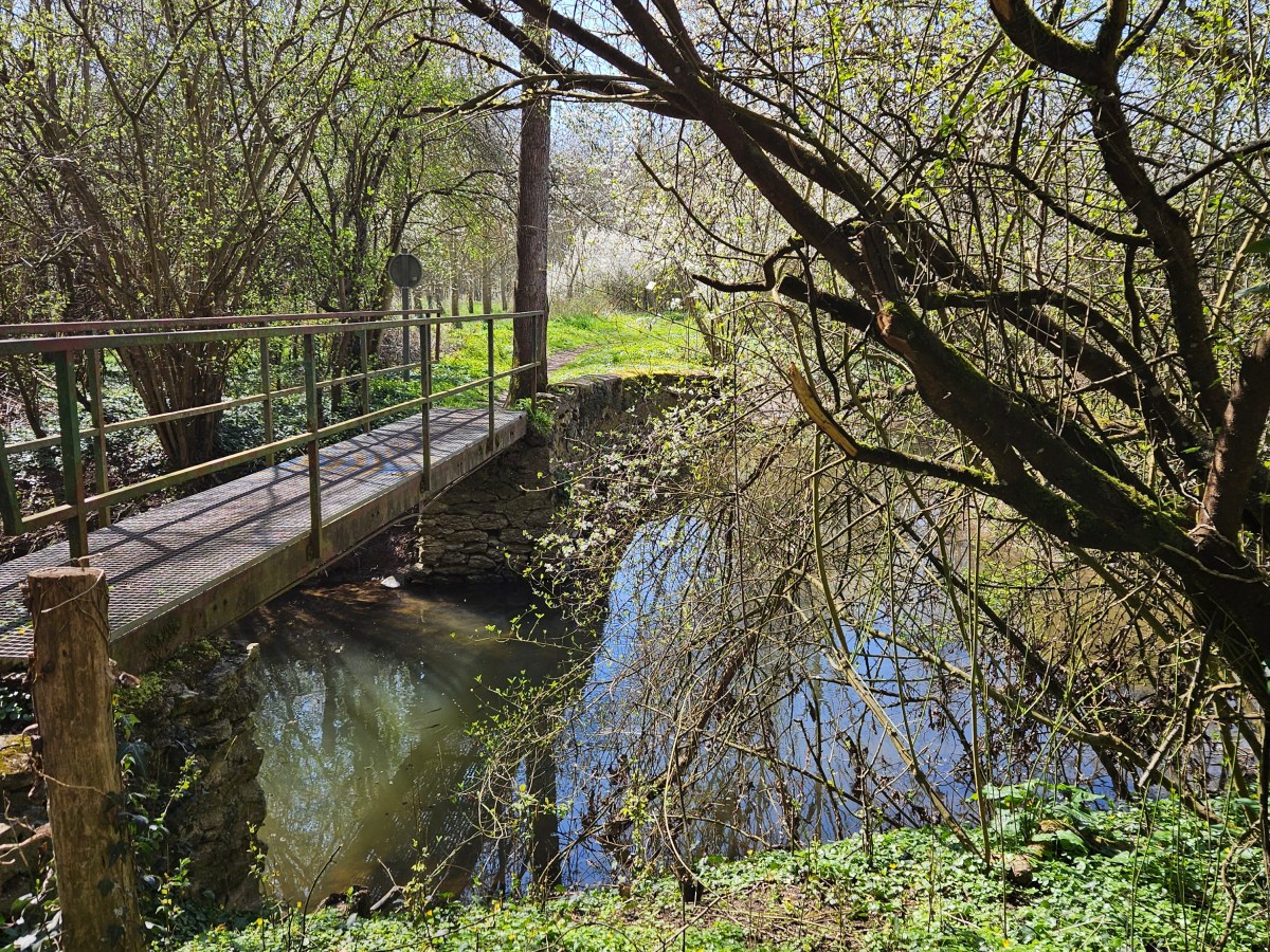 Mormant – Verneuil 16-26 km: cultures céréal&rsquo;Yerres