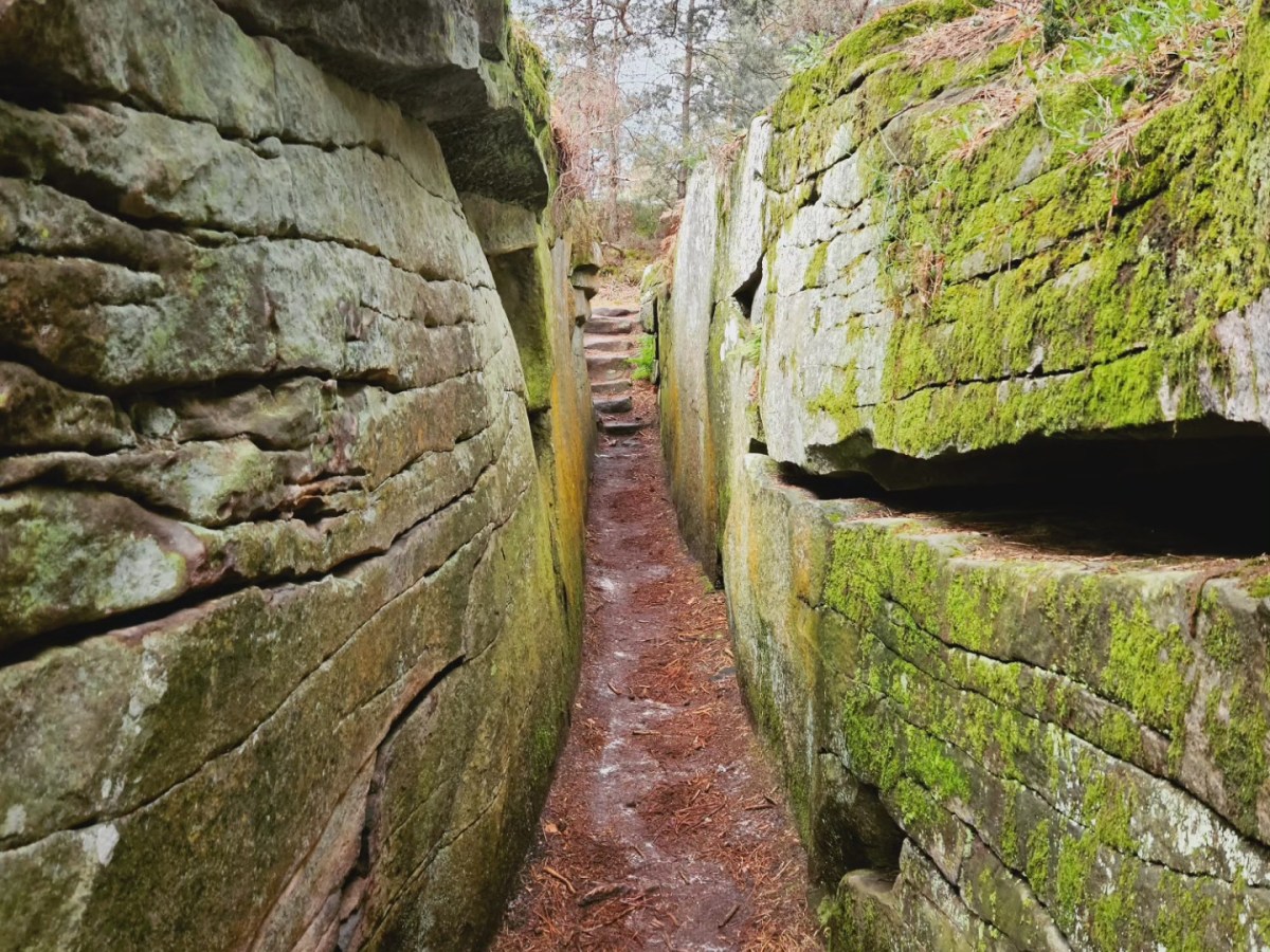 Bourron-Marlotte Fontainebleau 20 /24 km : châteaux&nbsp;bossus