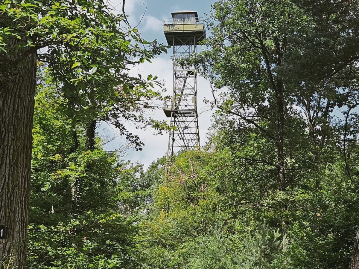 Boucle de Montigny sur Loing : 14-17-19-25 km : cabanes aux&nbsp;oiseaux