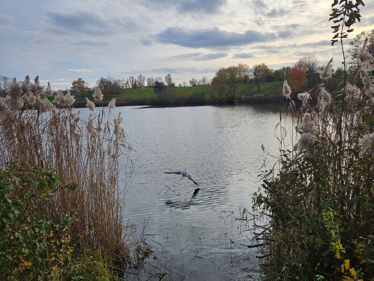 Lagny – Lognes 24 km : pérégrinations&nbsp;périurbaines