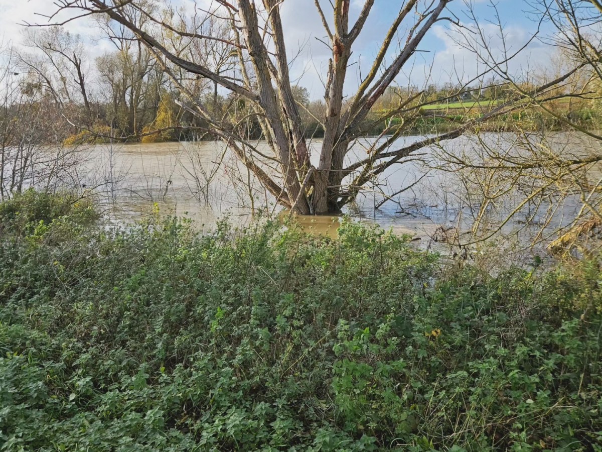 Villiers Sur Morin – Esbly 15 à 24 km : les rivières par les&nbsp;canaux