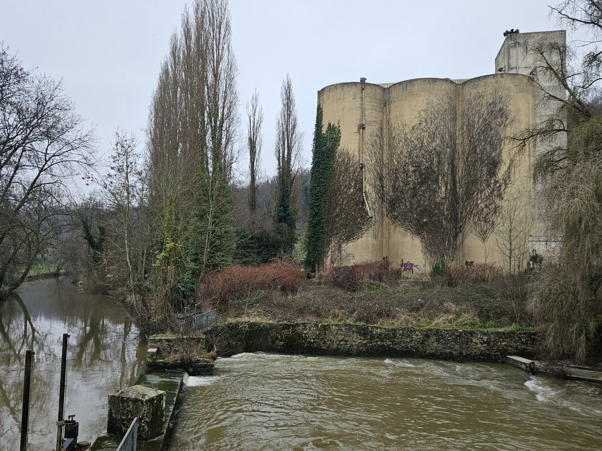 Saaçy – La Ferté sous Jouarre : 22,5 – 27,5 km : grandes prairies, petit&nbsp;Morin